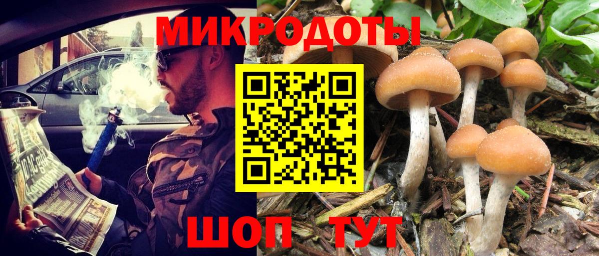 Красноярск  Галлюциногенные грибы прущие грибы  Вход с VPN  Галлюциногенные грибы мухоморы 